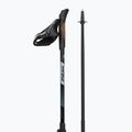 Kije nordic walking Fizan R-Evolution beige 3