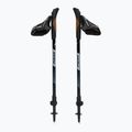 Kije nordic walking Fizan R-Evolution beige 5
