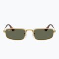 Okulary przeciwsłoneczne Ray-Ban RB3927 By A$Ap Rocky 2