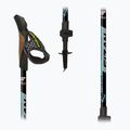 Kije nordic walking Fizan R-evolution grey/ocean 10