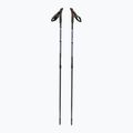 Kije nordic walking Fizan Speed violet