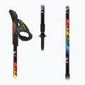 Kije nordic walking dziecięce Fizan Speed JR rainbow 9