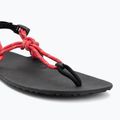 Sandały barefoot damskie Xero Shoes Genesis raspberry 7