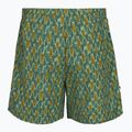 Spodenki męskie Royal Robbins All-In algae fish pt 2