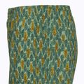 Spodenki męskie Royal Robbins All-In algae fish pt 4