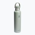 Butelka termiczna Hydro Flask Standard Flex Cap 710 ml agave 2