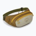 Saszetka nerka Osprey Daylite Waist green canopy/green creek 2