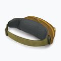 Saszetka nerka Osprey Daylite Waist green canopy/green creek 3