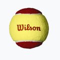 Piłki tenisowe dziecięce Wilson Starter Red 3B 3 szt. yellow/red 3