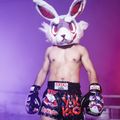 Spodenki treningowe męskie YOKKAO Angry Rabbit Muay Thai black 6