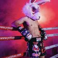 Spodenki treningowe męskie YOKKAO Angry Rabbit Muay Thai black 7