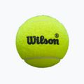 Piłki do padla Wilson Premier Padel Speed 3B 3 szt. yellow 2