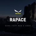 Buty wysokogórskie męskie Salewa Rapace GTX bergrot/holland 11
