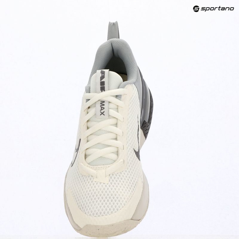 Buty treningowe męskie Nike Air Max Alpha Trainer 6 sail/light smoke grey/phantom/pencil point 12