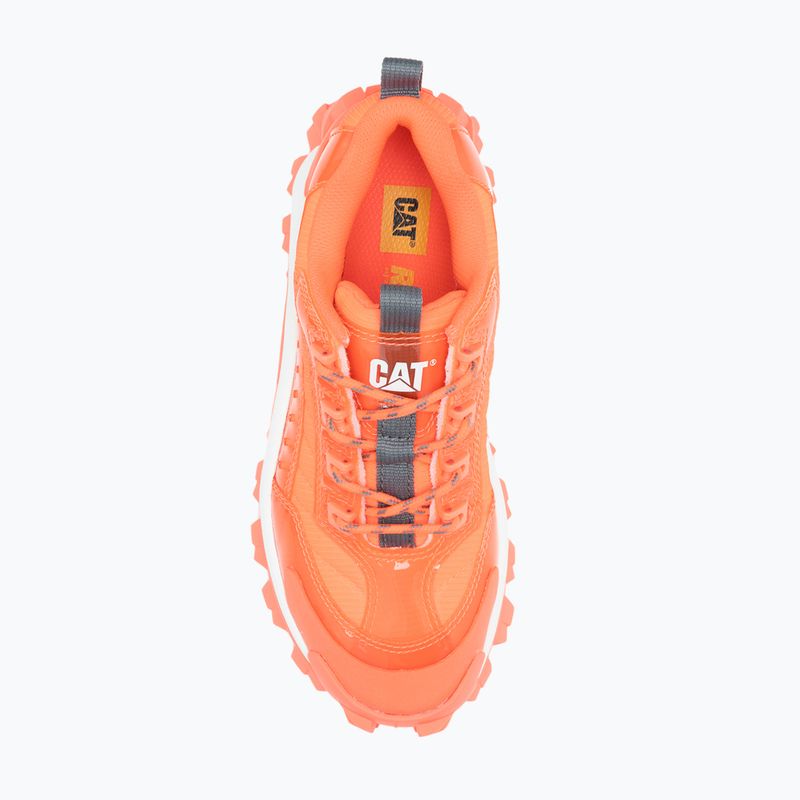 Buty męskie CATerpillar Intr Ignite fiery coral 12