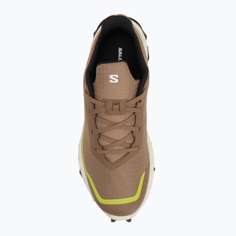 Buty do biegania męskie Salomon Alphacross 5 caribou/canteen/ sulphr 5