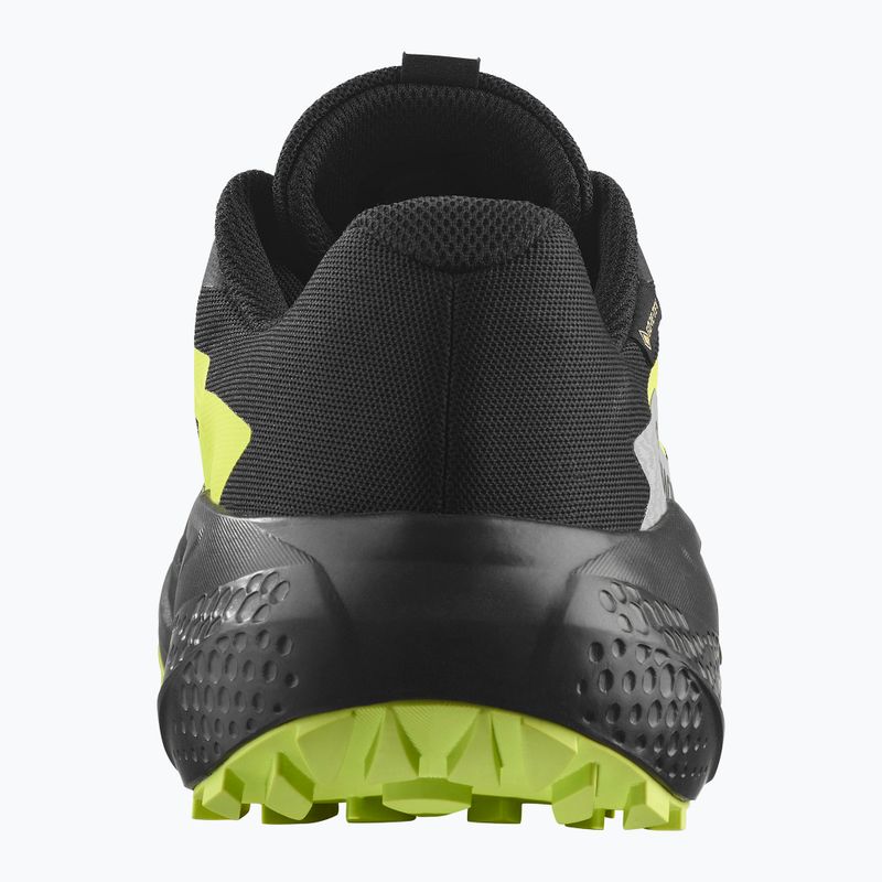 Buty do biegania męskie Salomon Alphaglide GTX black/alloy/sharp green 10