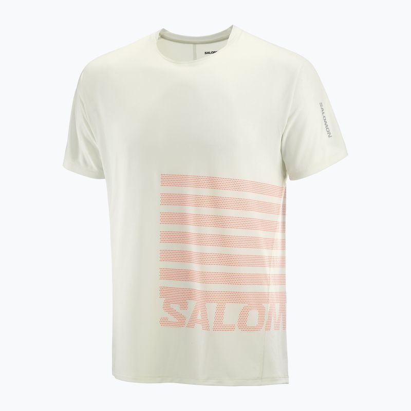 Koszulka do biegania męska Salomon Sense Aero Tee GFX icicle/neon flame 4