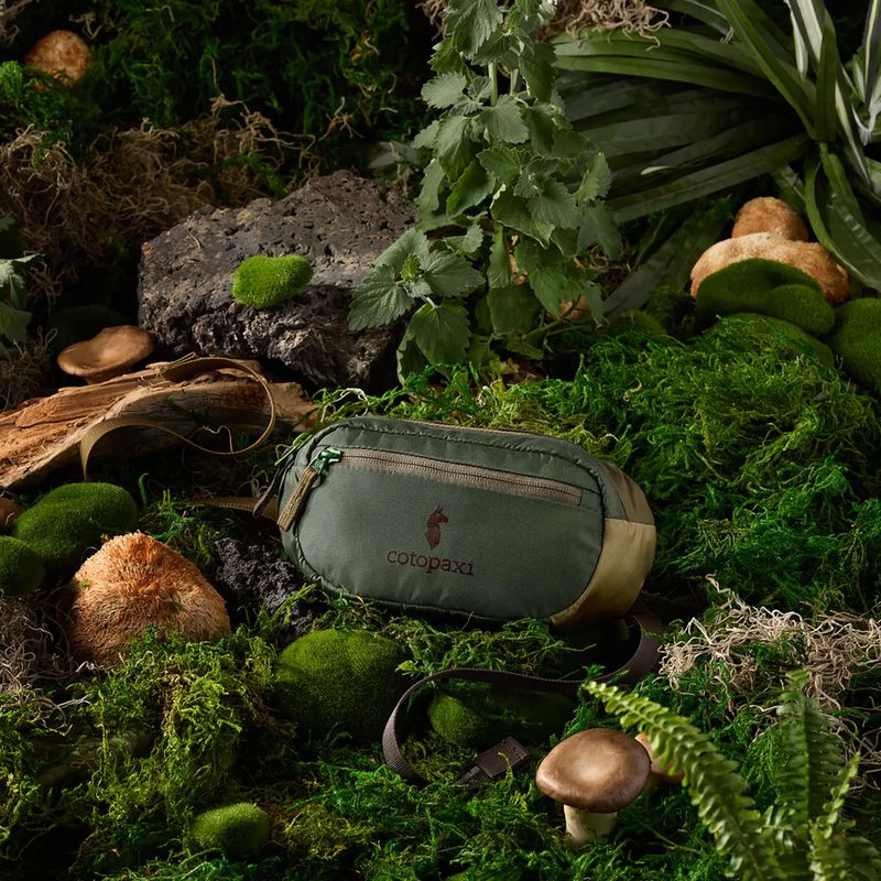 Saszetka nerka Cotopaxi Kapai 1.5L Hip Pack del dia earth 6