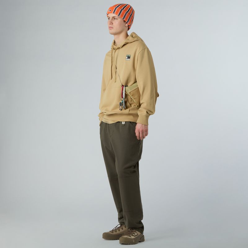 Bluza męska The North Face Mountain Logo Relaxed Hooded khaki stone 2
