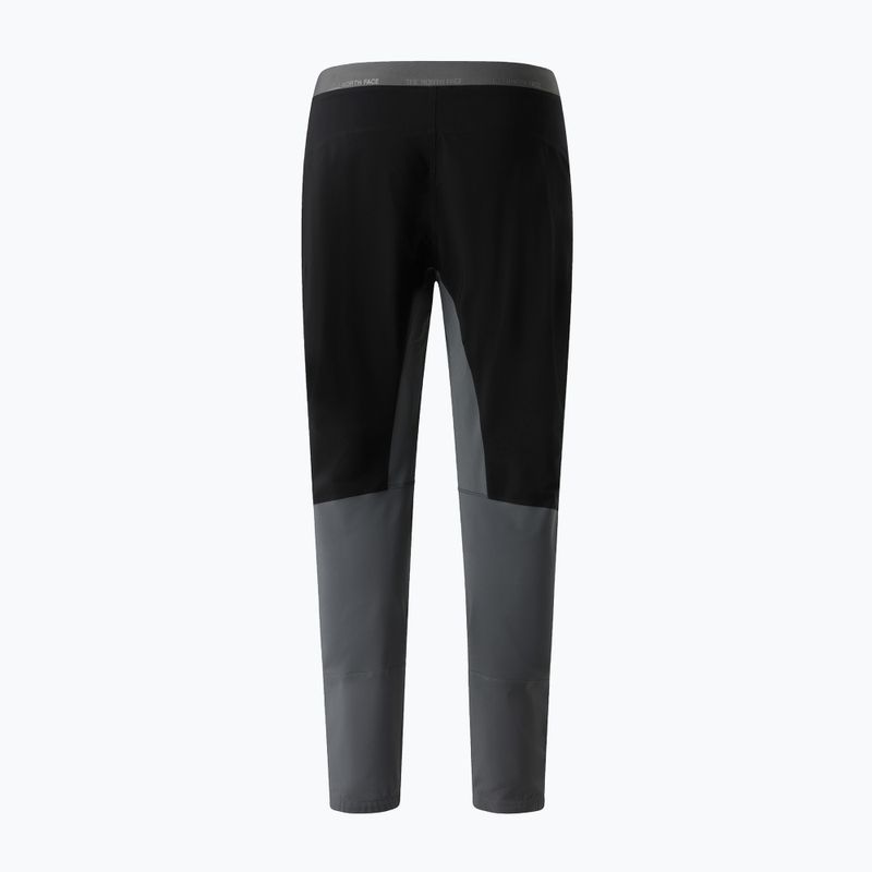 Spodnie trekkingowe męskie The North Face Felik Slim Tapered smoked pearl/tnf 2