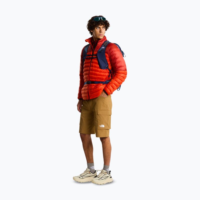 Spodenki trekkingowe męskie The North Face Exploration Cargo Shorts utility brown 2