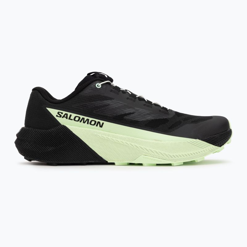 Buty do biegania męskie Salomon Pulsar black/black/patina green 2