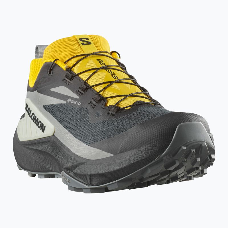 Buty do biegania męskie Salomon Genesis GTX black/sedona sage/incaberry 8
