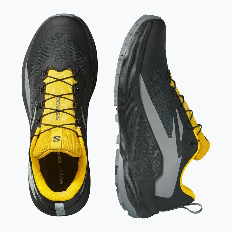 Buty do biegania męskie Salomon Genesis GTX black/sedona sage/incaberry 12