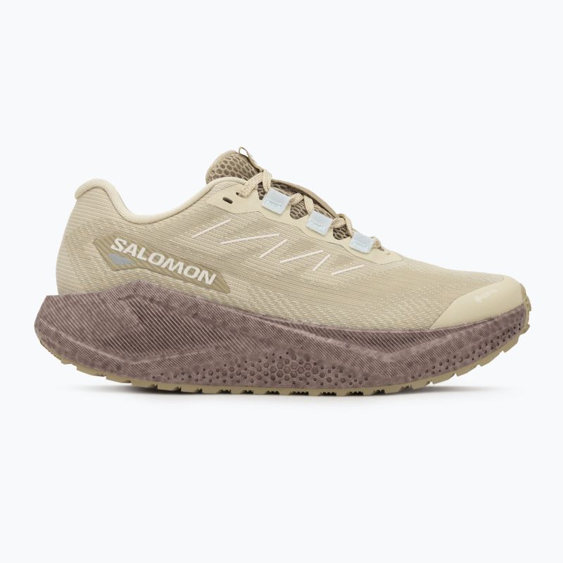 Buty do biegania damskie Salomon Aero Blaze 3 Gravel GTX green haze/iron/ice flow 2