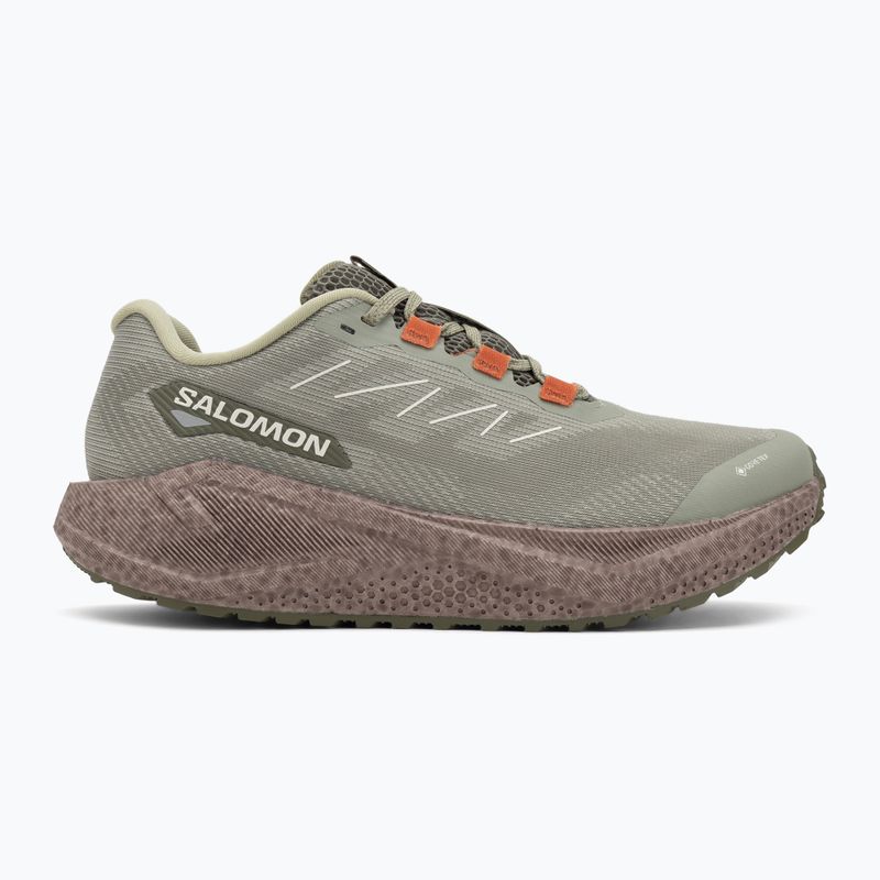 Buty do biegania męskie Salomon Aero Blaze 3 Gravel GTX tea/iron/burnt ochre 2