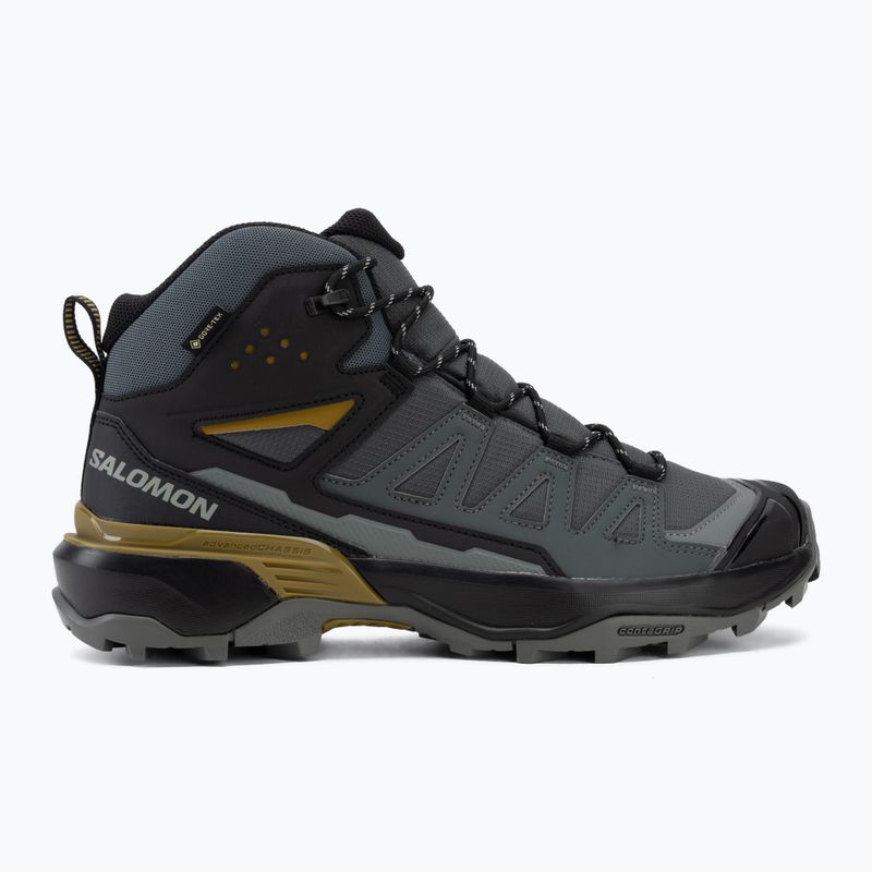 Buty trekkingowe męskie Salomon X Ultra 360 MID GTX urban chic/black 2