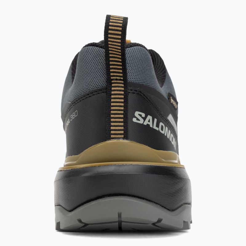 Buty trekkingowe męskie Salomon X Ultra 360 GTX urban chic/black 6