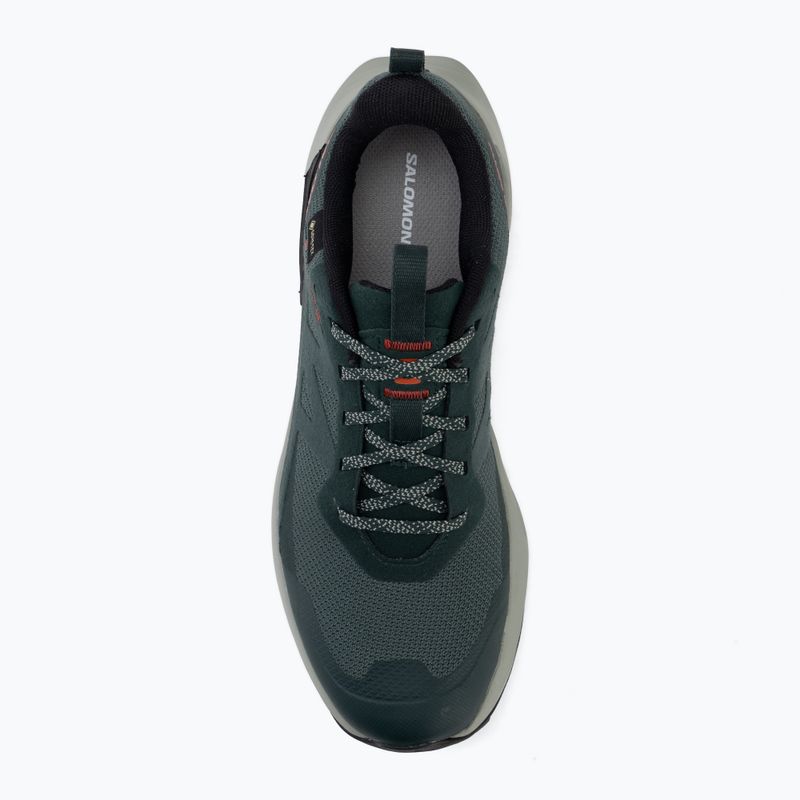 Buty turystyczne męskie Salomon Elixir Activ GTX scarab/green gable 5