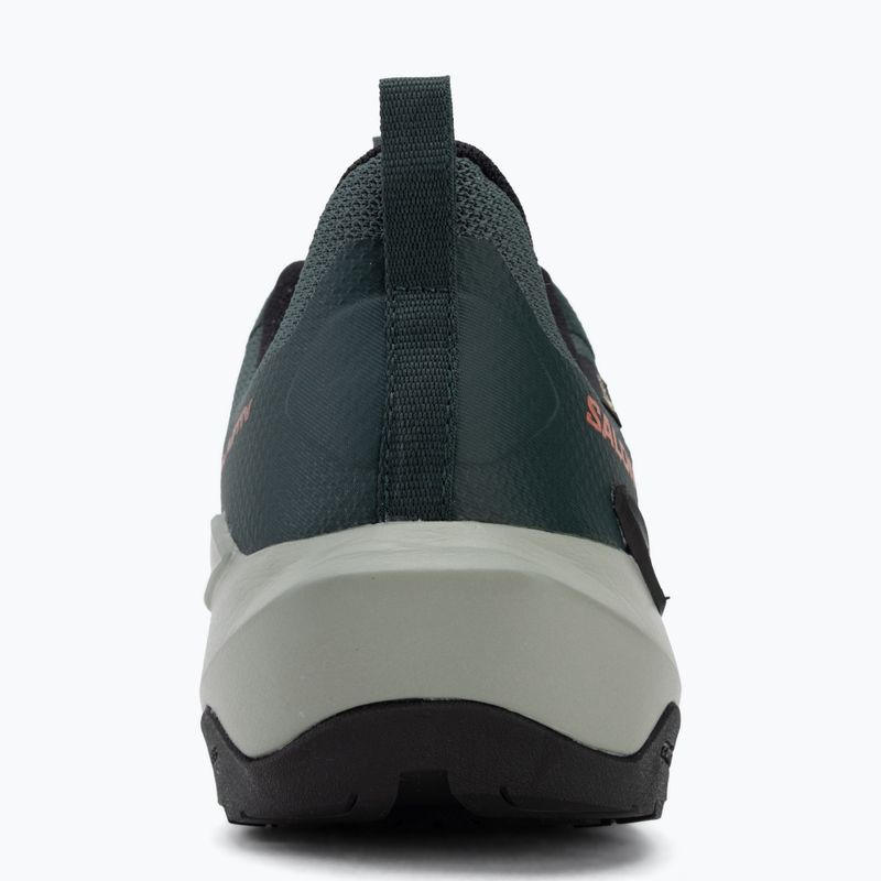 Buty turystyczne męskie Salomon Elixir Activ GTX scarab/green gable 6