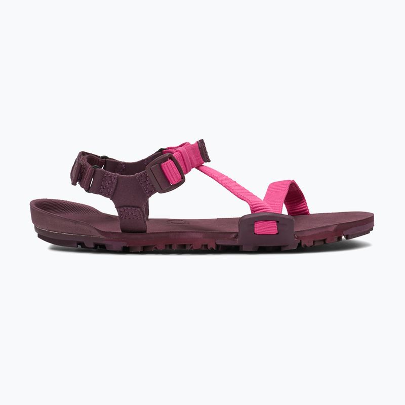 Sandały barefoot damskie Xero Shoes Z-Trail EV fuchsia purple 8