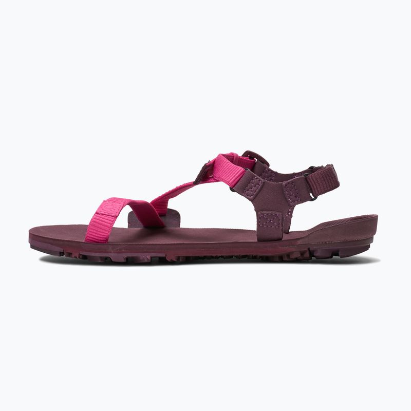 Sandały barefoot damskie Xero Shoes Z-Trail EV fuchsia purple 9