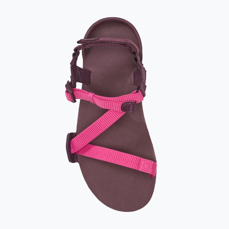 Sandały barefoot damskie Xero Shoes Z-Trail EV fuchsia purple 12