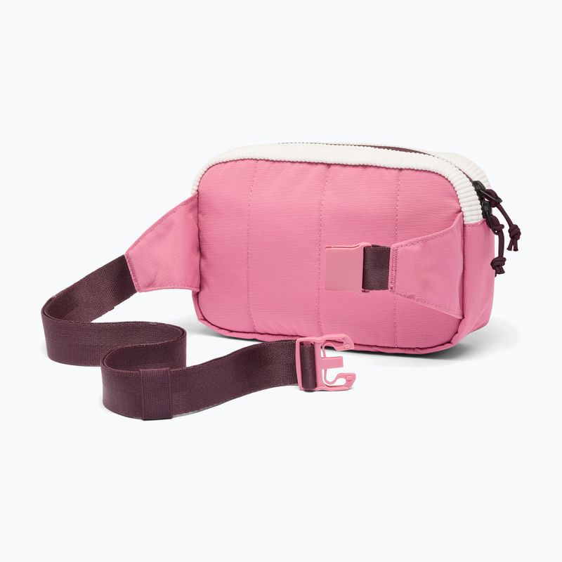 Saszetka nerka Columbia Trail Traveler Hip sea salt/rosette/moonvista 2