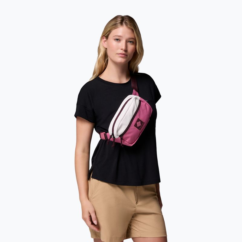 Saszetka nerka Columbia Trail Traveler Hip sea salt/rosette/moonvista 5