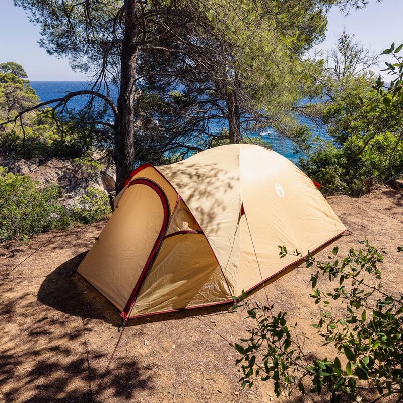 Namiot kempingowy 3-osobowy Coleman Darwin Summer 3 + beige 8