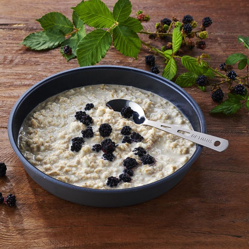 Żywność liofilizowana Trek'n Eat Owsianka białkowa 170 g 3