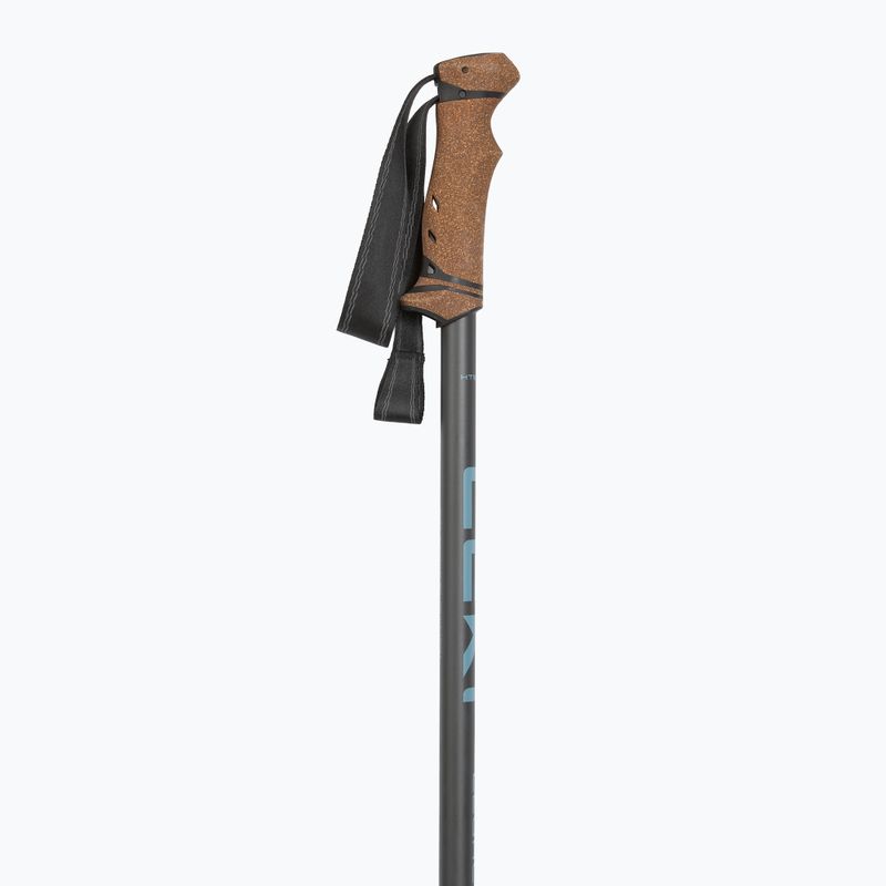 Kije trekkingowe LEKI Legacy greyblue/dark anthracite 2