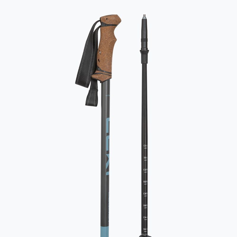Kije trekkingowe LEKI Legacy greyblue/dark anthracite 3