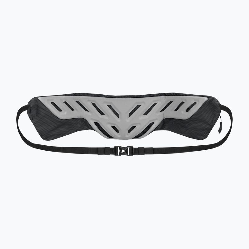 Saszetka nerka Salewa Pedroc Hipbelt 9