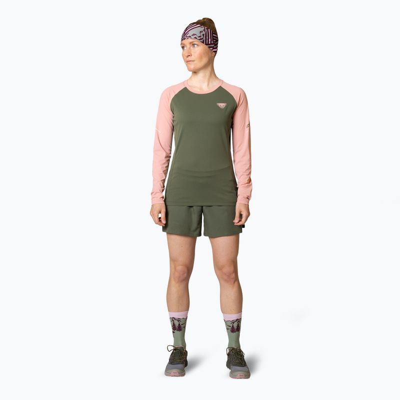 Longsleeve do biegania damski DYNAFIT Alpine Pro thyme 2