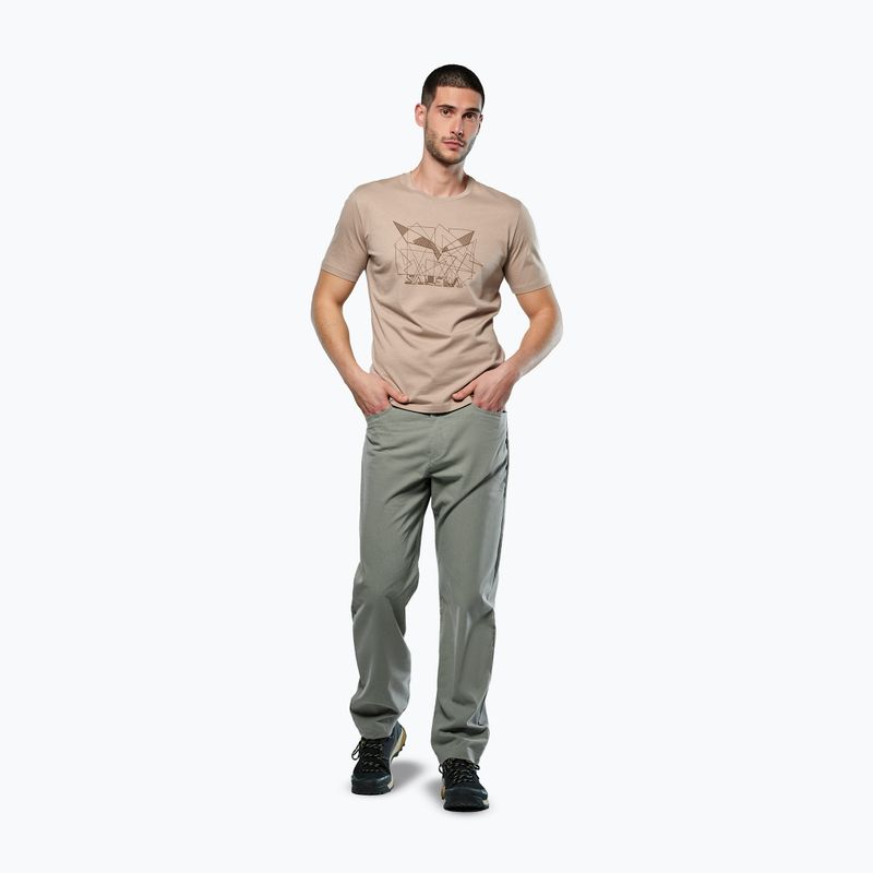 Koszulka męska Salewa Eagle Geometric quicksand 2