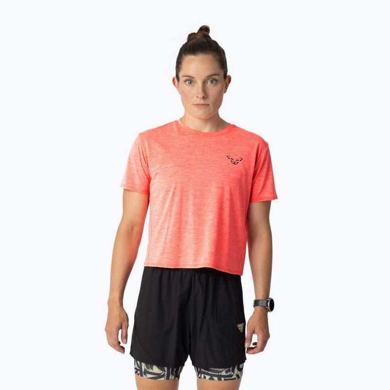 Koszulka do biegania damska DYNAFIT Trail ultra coral