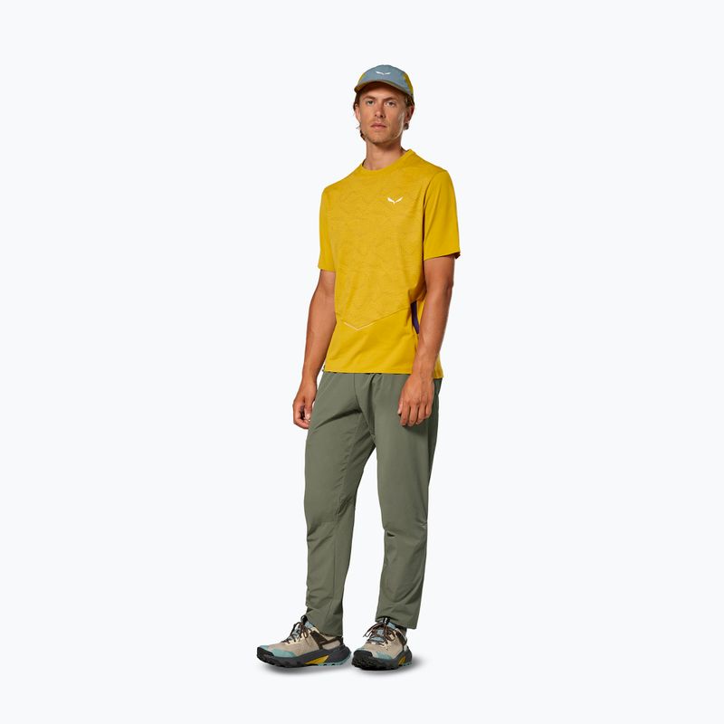 Spodnie trekkingowe męskie Salewa Pedroc 3 DST Light faded green 2