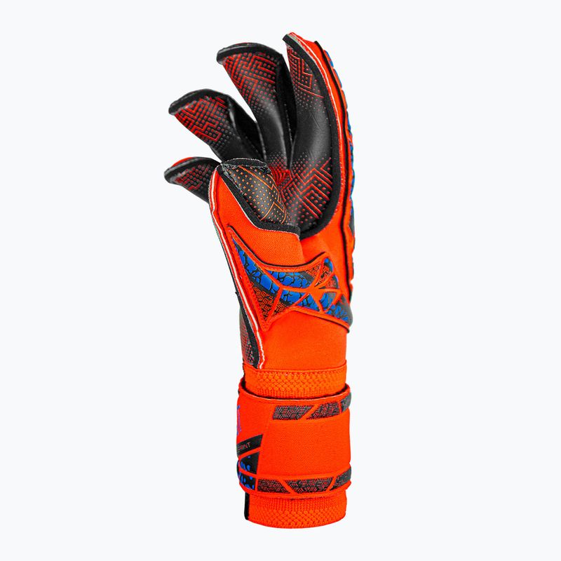 Rękawice bramkarskie Reusch Attrakt Gold X Evolution GluePrint hyper orng/elec blue/blck 4